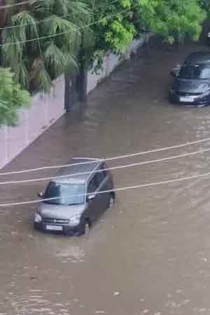 maansoon